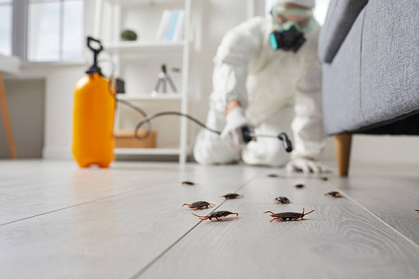 Commercial Kitchen Cockroach Control in Norristown